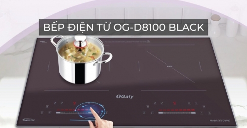 Bếp Điện Từ 8100 Black Tiện Lợi, Tinh Tế